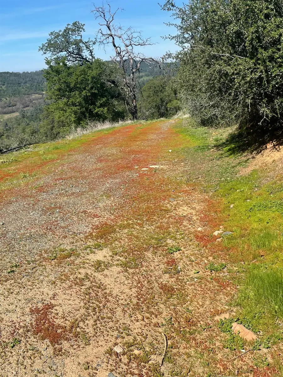 9841 Gary Drive, Browns Valley, CA 95918 - #3