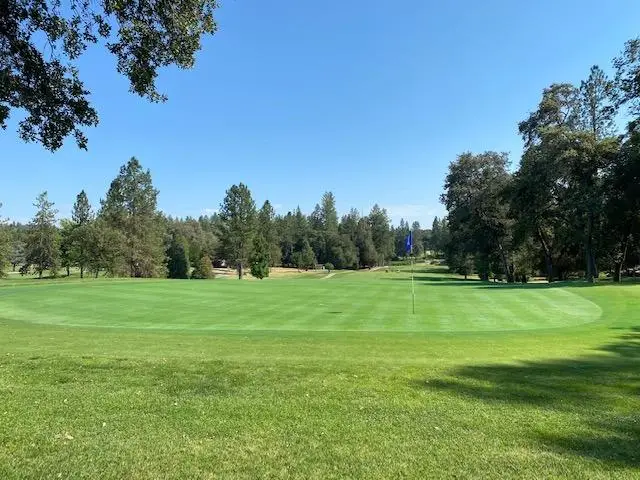 11665 Redwing Court, Penn Valley, CA 95946 - #2