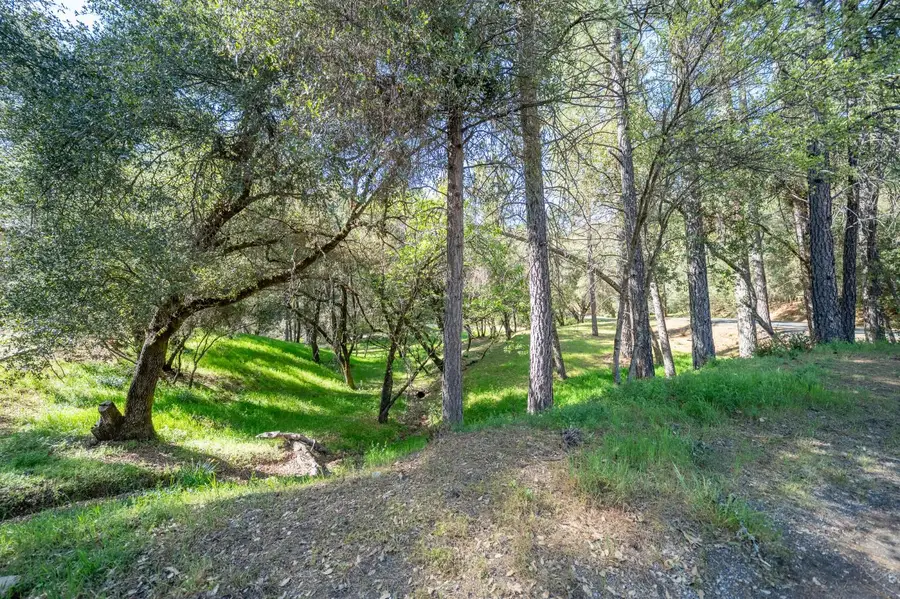 1621 Coyote Drive, Murphys, CA 95247 - #3