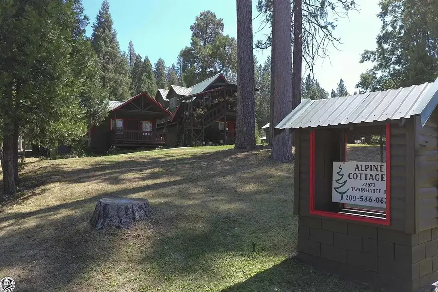 22671 Twain Harte Drive, Twain Harte, CA 95383 - #3