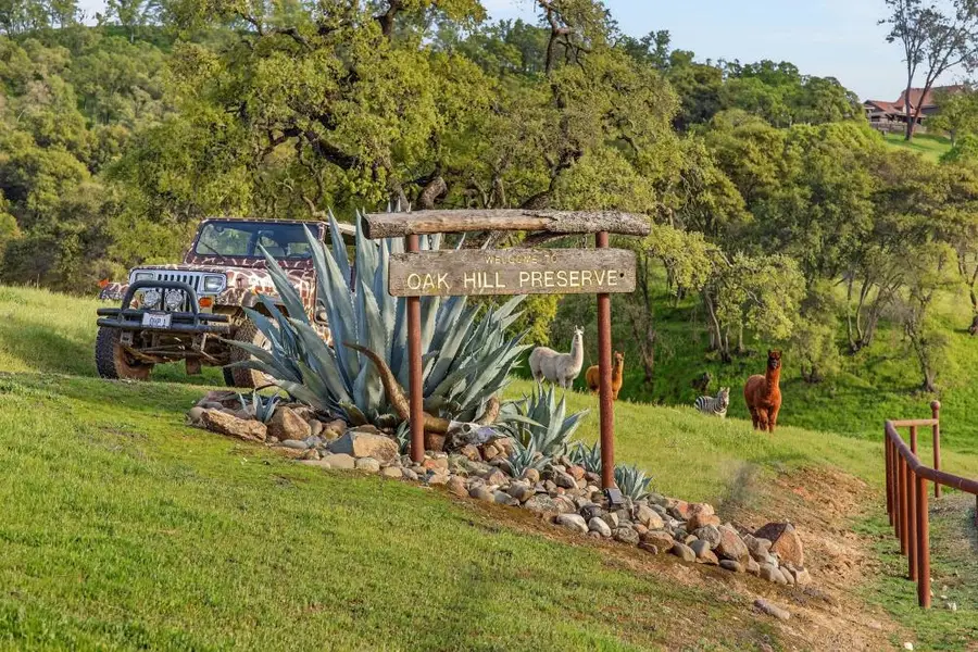 7270 Sutter Ione Road, Ione, CA 95640 - #2