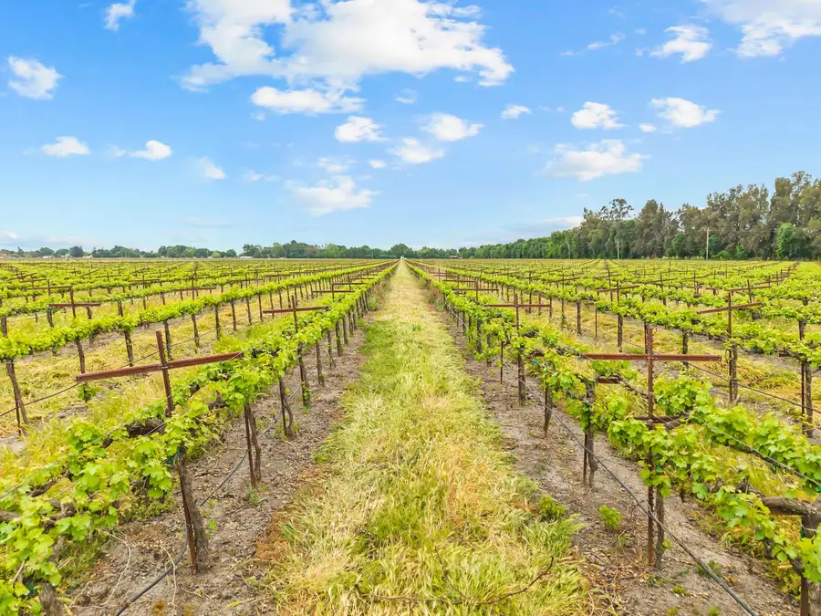 53020 S River Road, Clarksburg, CA 95612 - #2