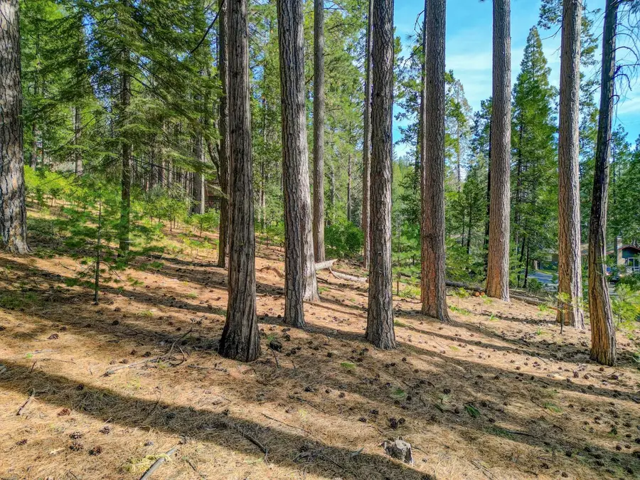 2625 Linnet Lane, Arnold, CA 95223 - #3