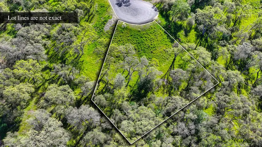 310 Raphael Court, El Dorado Hills, CA 95762 - #3