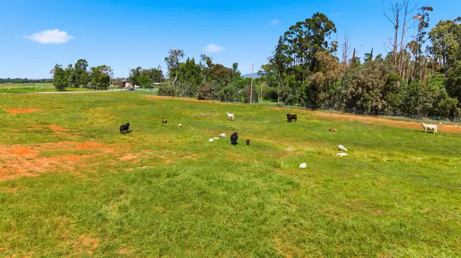 6924 Eric Lane, Wheatland, CA 95692 - #3