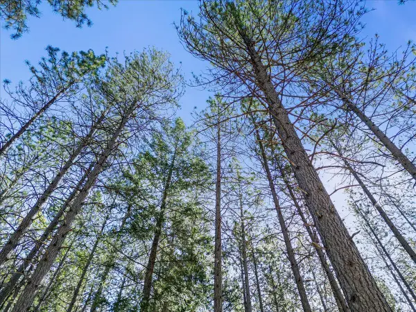 6400 Shoo Fly Road, Placerville, CA 95667