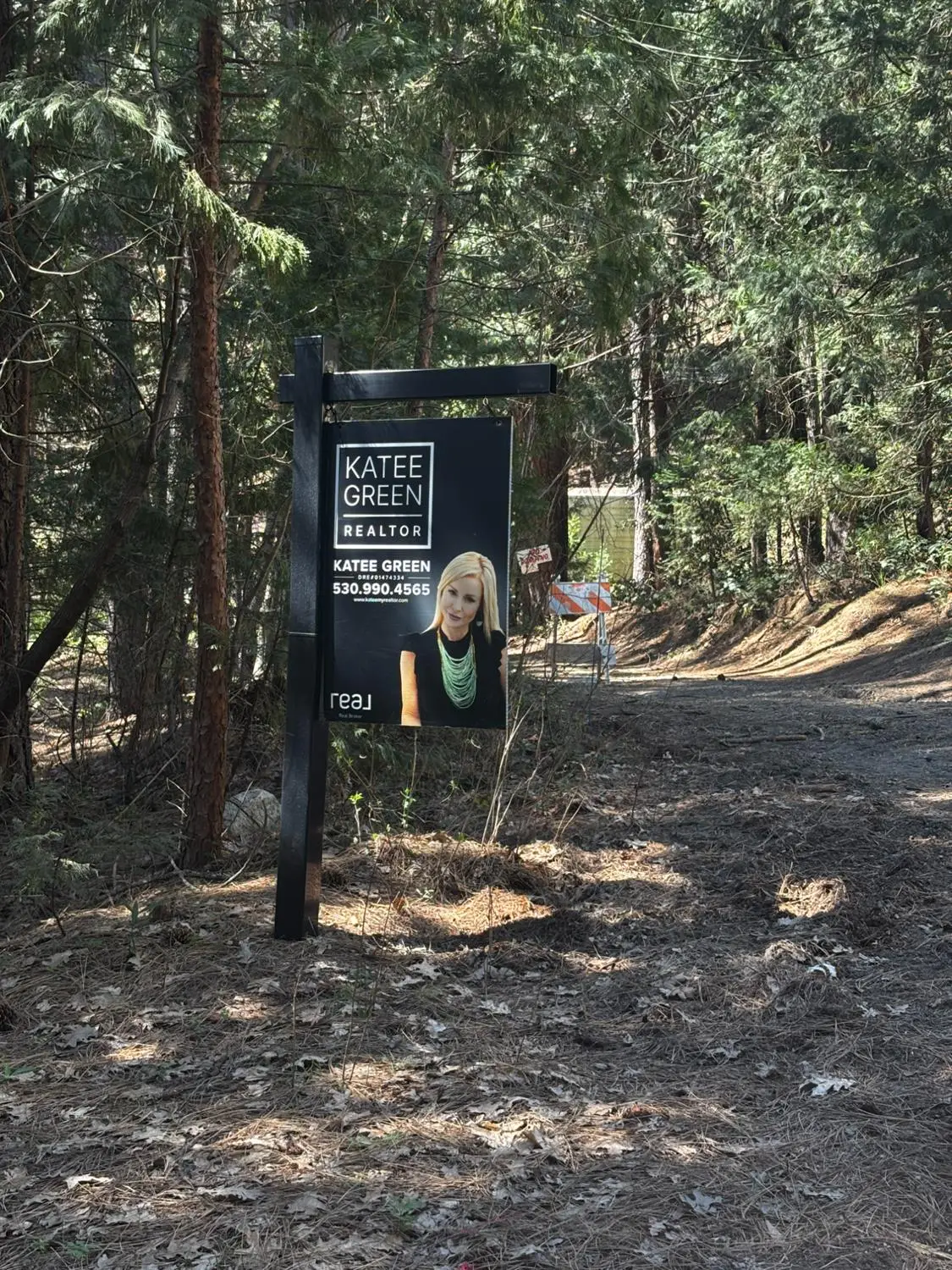 30927 Relief Hill Road, Nevada City, CA 95959 - #1