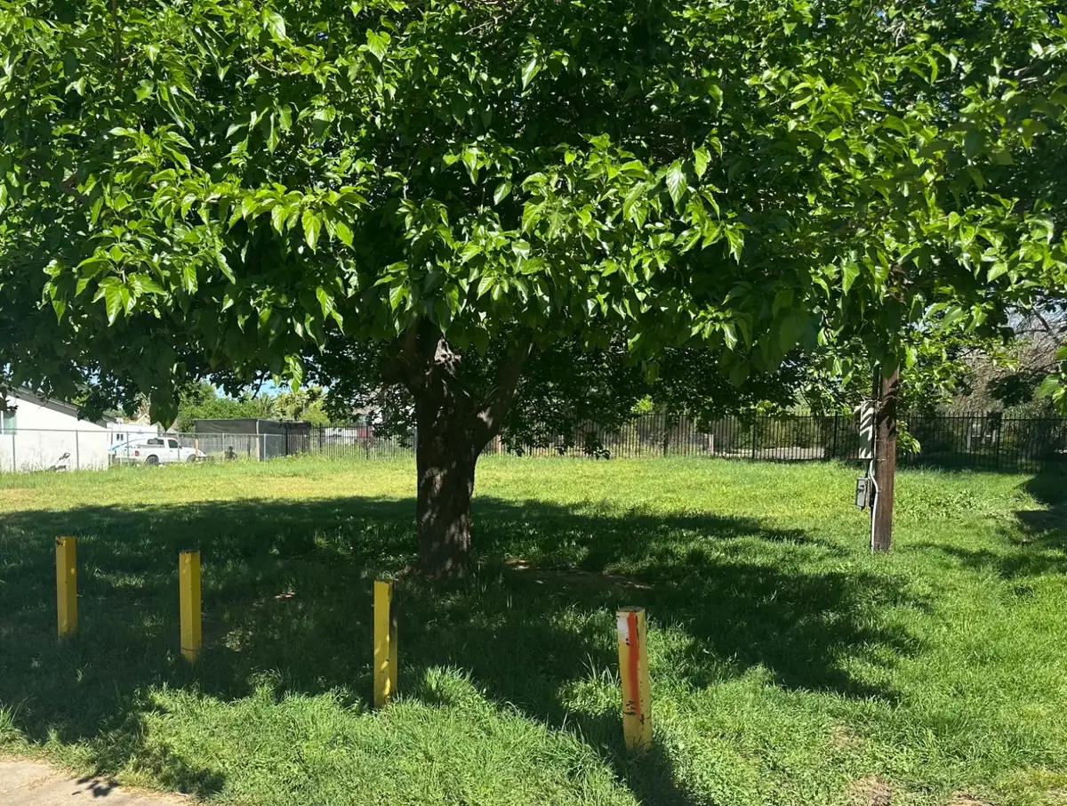 0 Branch, Sacramento, CA 95815 - #1