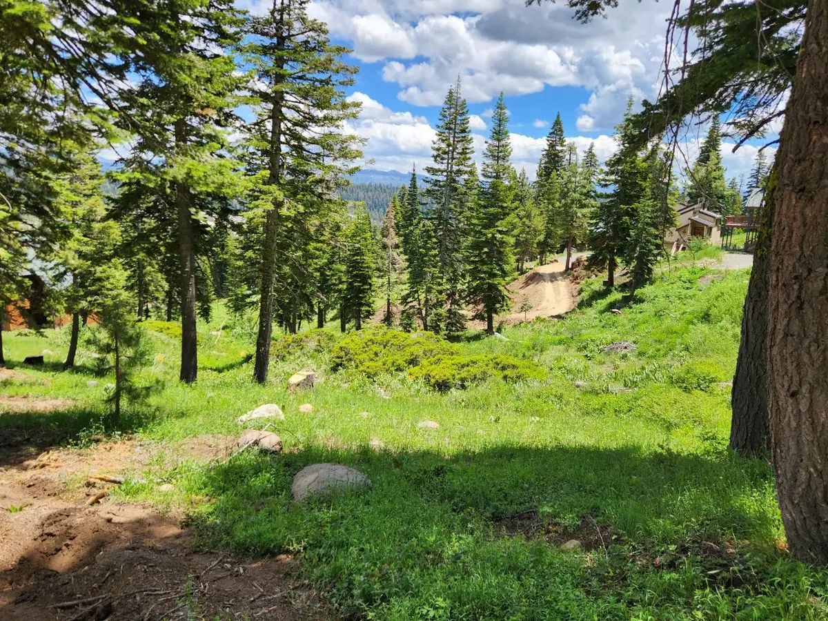 350 Snowshoe Road, Bear Valley, CA 95223 - #1