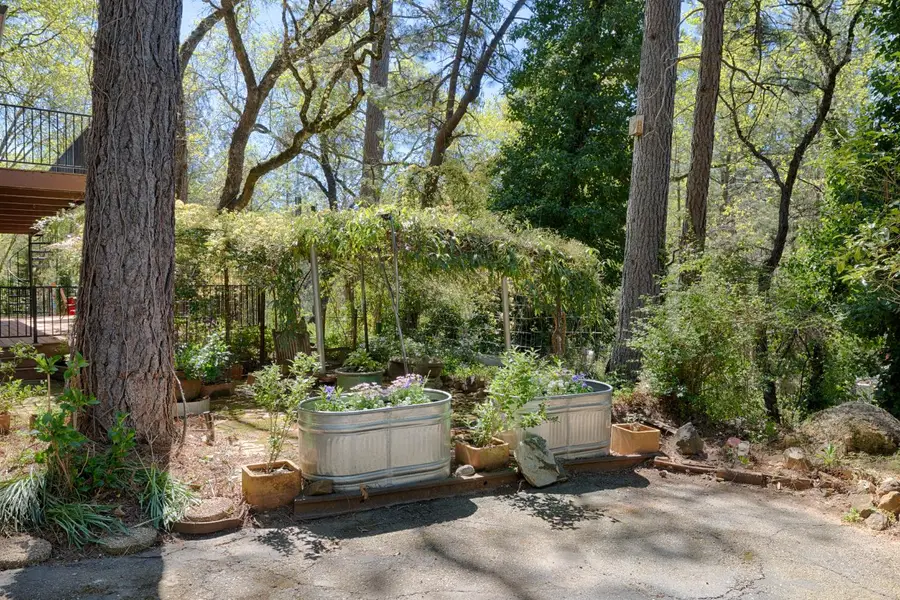 1250 Combie Road, Meadow Vista, CA 95722 - #2