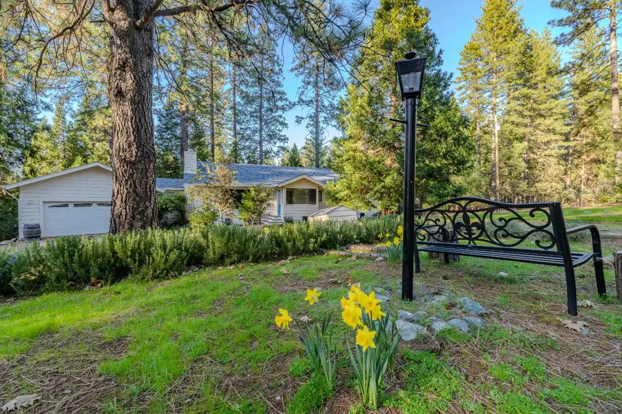 22401 Shake Ridge Road, Volcano, CA 95689 - #3