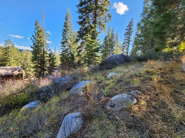 148 John Ebbetts Road, Bear Valley, CA 95223