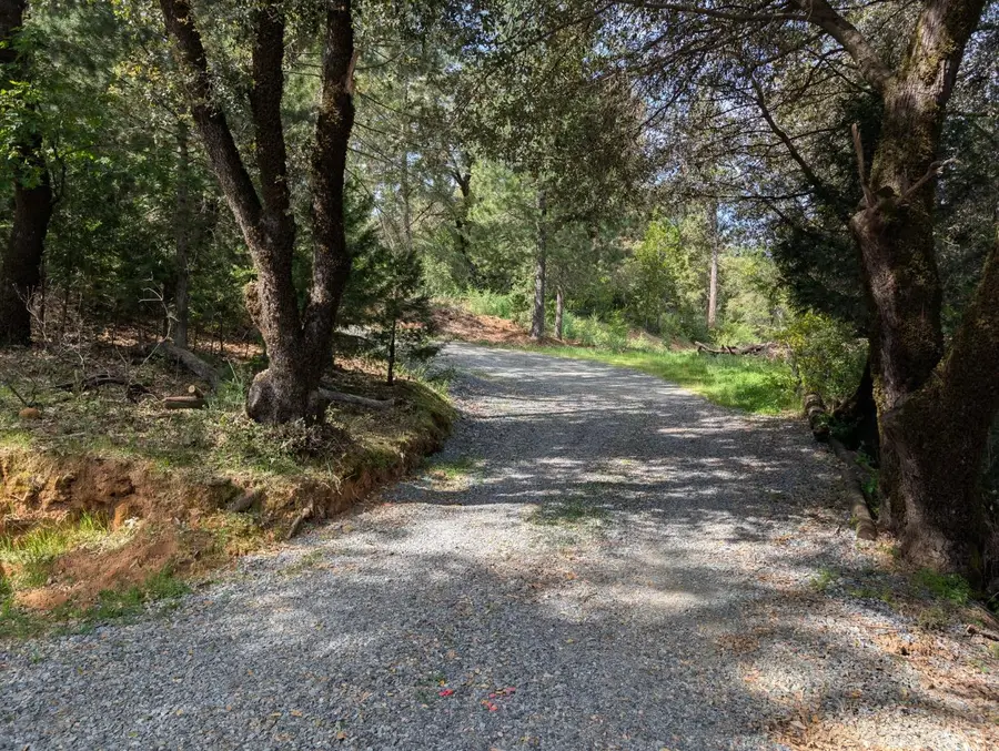 15405 Mcelroy Road, Meadow Vista, CA 95722 - #2