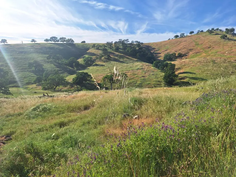 9987 Hernandez Drive, La Grange, CA 95329 - #3