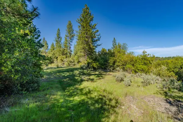 16480 Ponderosa Way, Volcano, CA 95689