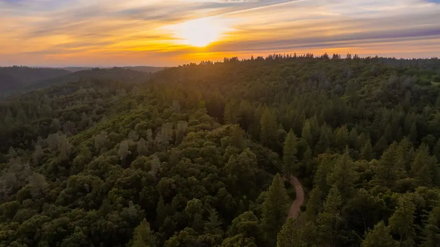 16480 Ponderosa Way, Volcano, CA 95689 - #3