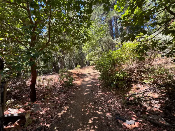 16704 New York House Road, Brownsville, CA 95919