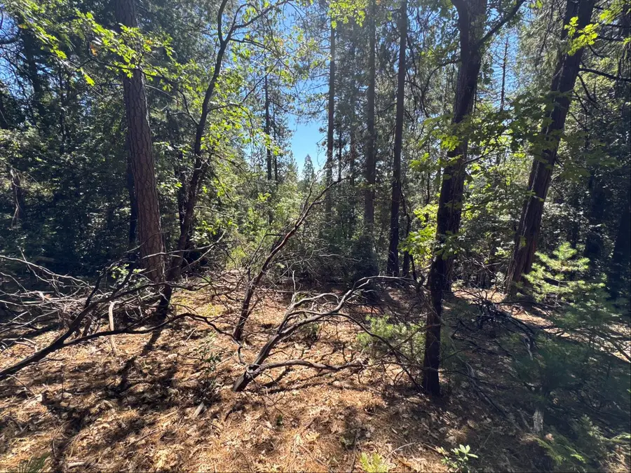 16704 New York House Road, Brownsville, CA 95919 - #3