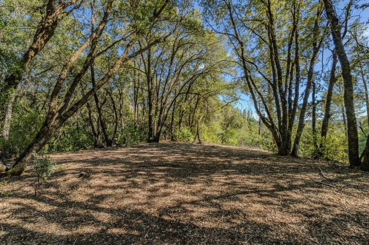 16490 Ponderosa Way, Volcano, CA 95689 - #1