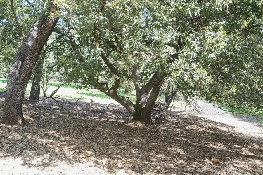 11570 Quail Court, Pine Grove, CA 95665 - #3