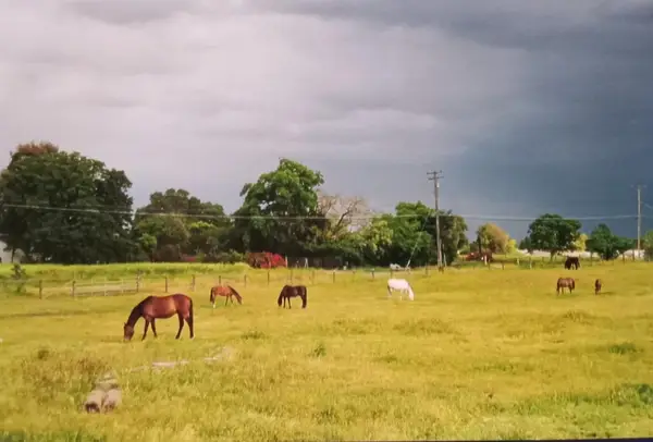 0 20th Street, Rio Linda, CA 95673