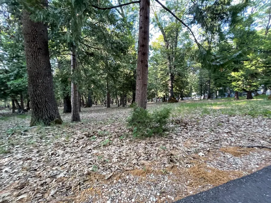 13117 Madrone Forest Drive, Nevada City, CA 95959 - #3