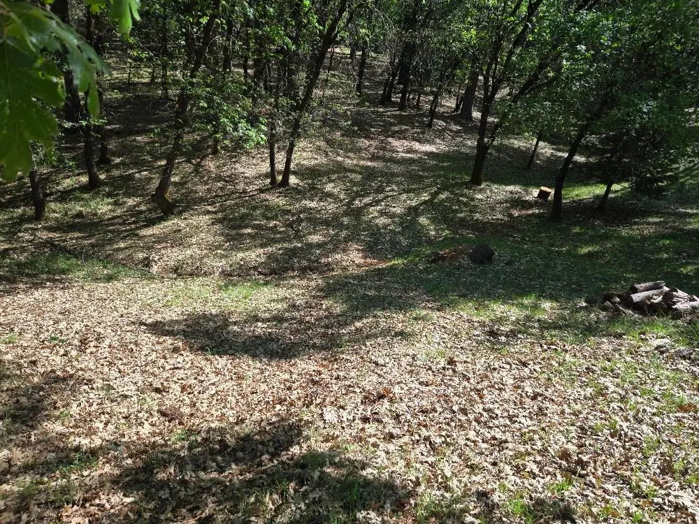 13637 Capitol Drive, Grass Valley, CA 95945 - #1