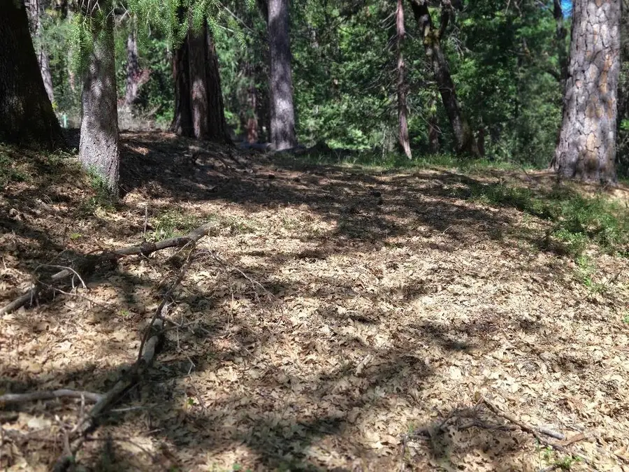 13637 Capitol Drive, Grass Valley, CA 95945 - #3