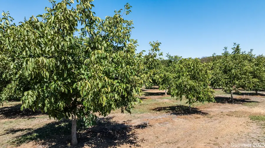 5210 N Fine Road, Linden, CA 95236 - #3