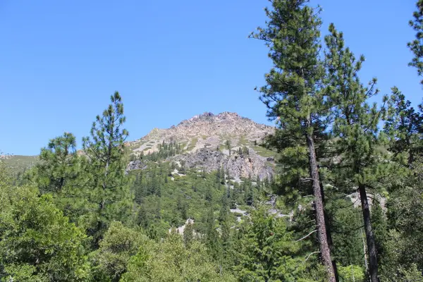 558 Brady Dr., Sierra City, CA 96125