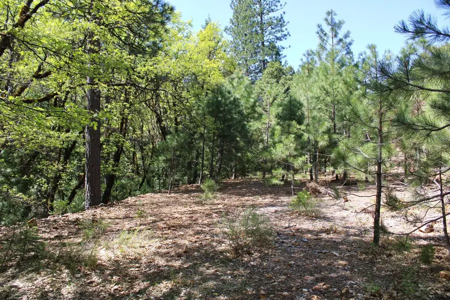 558 Brady Dr., Sierra City, CA 96125 - #3