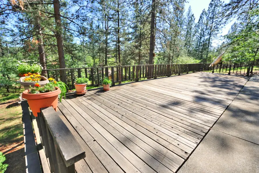 21495 Snooks Road, Colfax, CA 95713 - #3