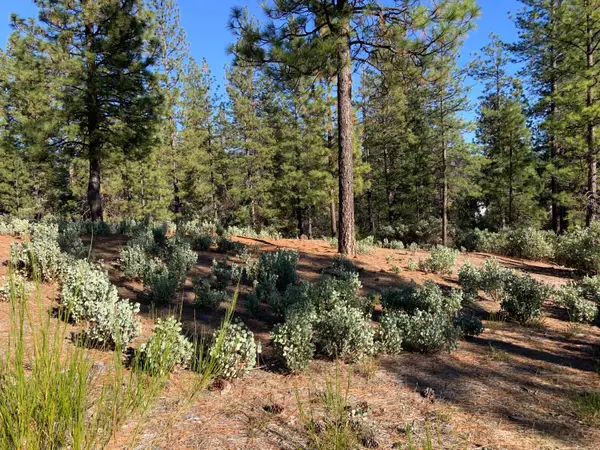 530 Lost Hill Court, Nevada City, CA 95959