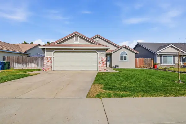1481 Bluethroat Drive, Turlock, CA 95382