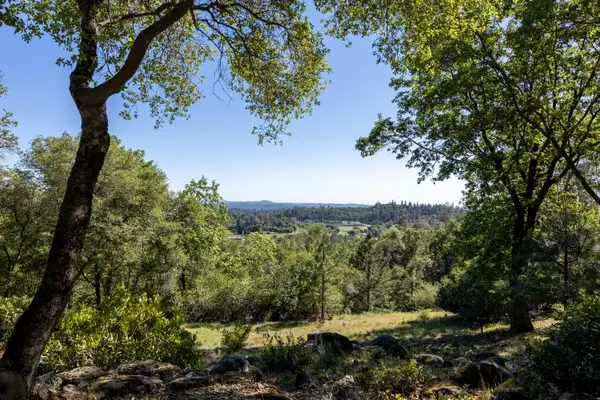 1235 Forest View Drive, Meadow Vista, CA 95722