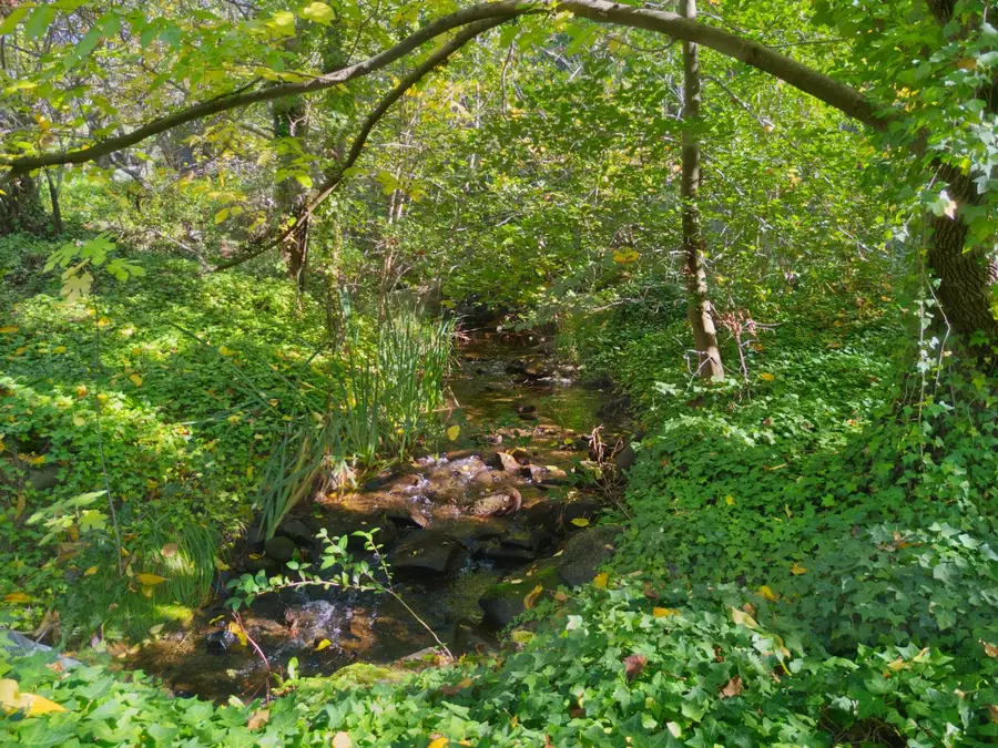 8436 Wise Road, Auburn, CA 95603 - #2