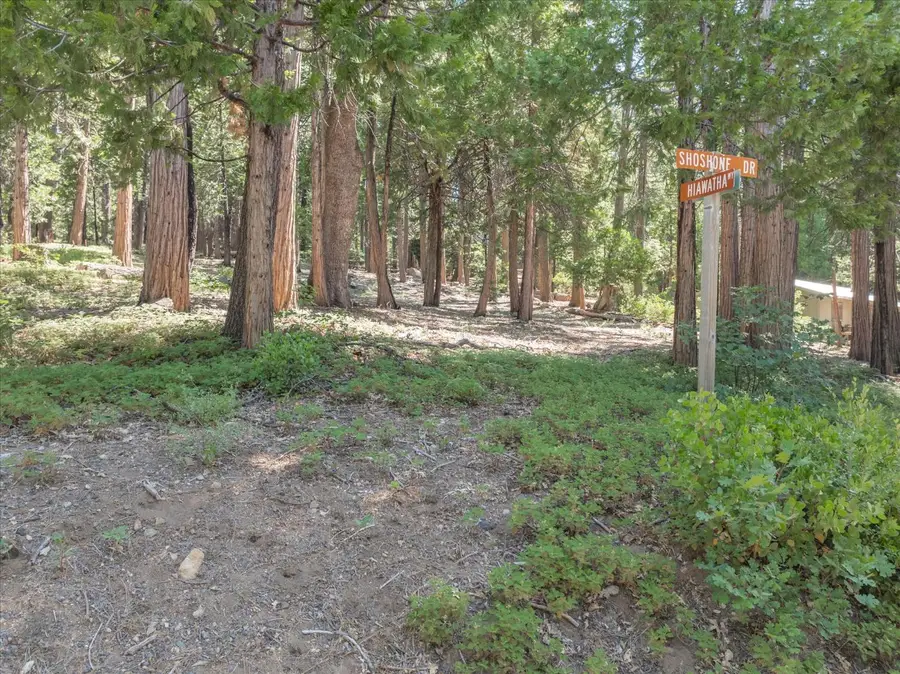 926 Shoshone, Camp Connell, CA 95223 - #3