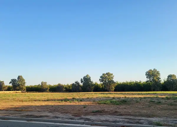 278 Lee Road, Nicolaus, CA 95659