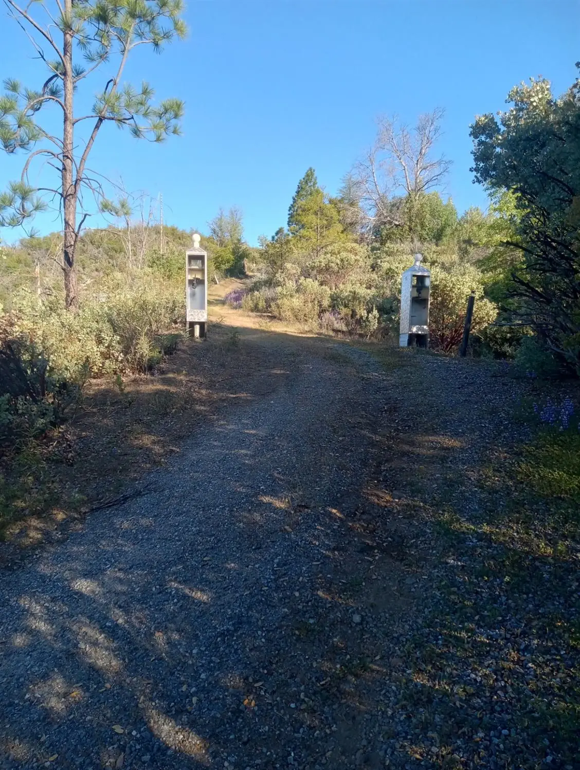 16140 Baker Riley Road, Mokelumne Hill, CA 95245 - #1