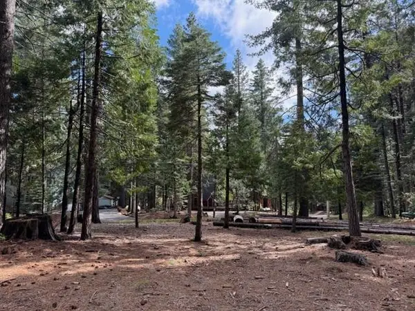 1510 Pawnee Drive, Dorrington, CA 95223