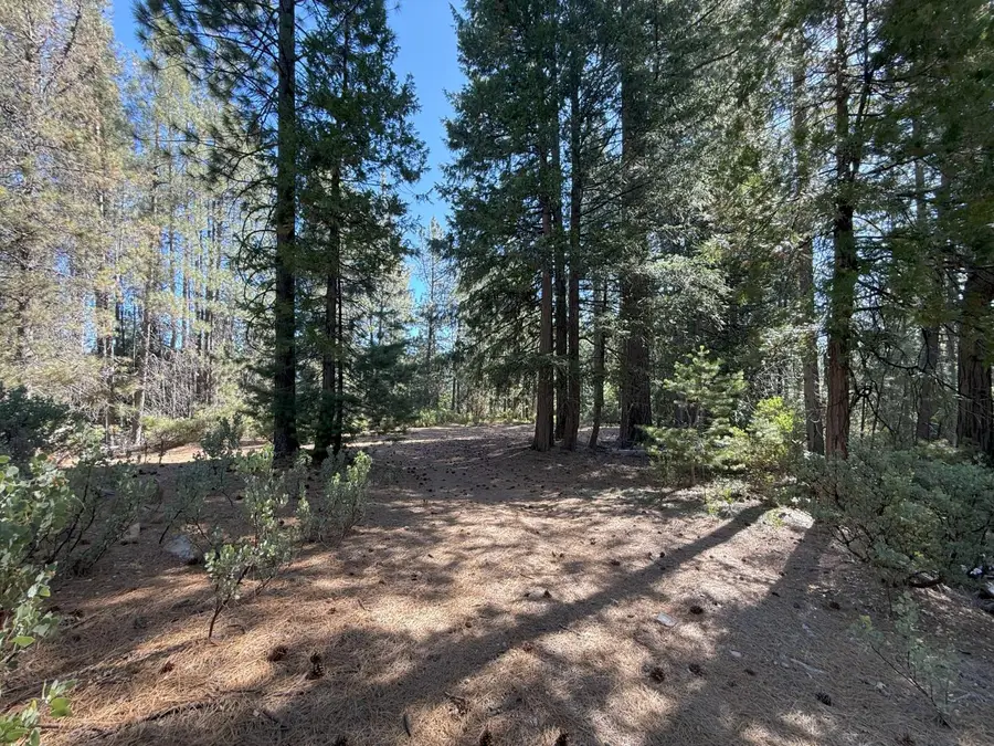 10543 Chuckleberry Drive, Nevada City, CA 95959 - #3