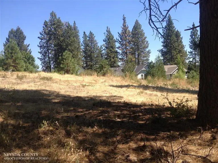 631 Chief Kelly Drive, Nevada City, CA 95959 - #2