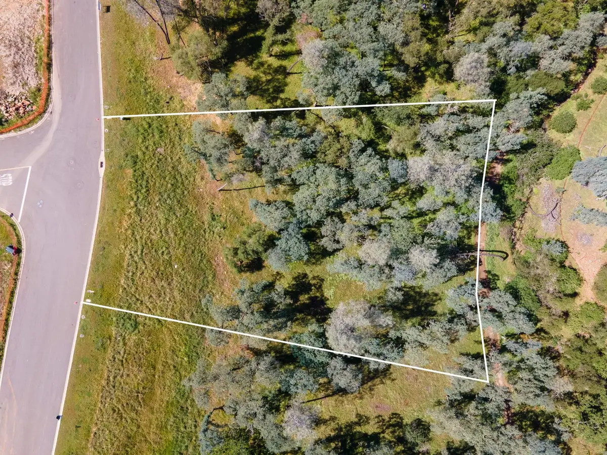 4125 Raphael (lot 99b) Drive, El Dorado Hills, CA 95762 - #1