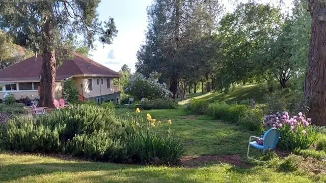 15579 Jesus Maria, Mokelumne Hill, CA 95245 - #1