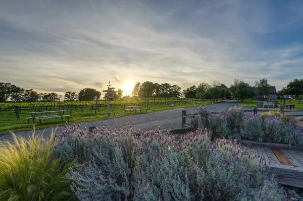 7505 Wise Road, Auburn, CA 95603