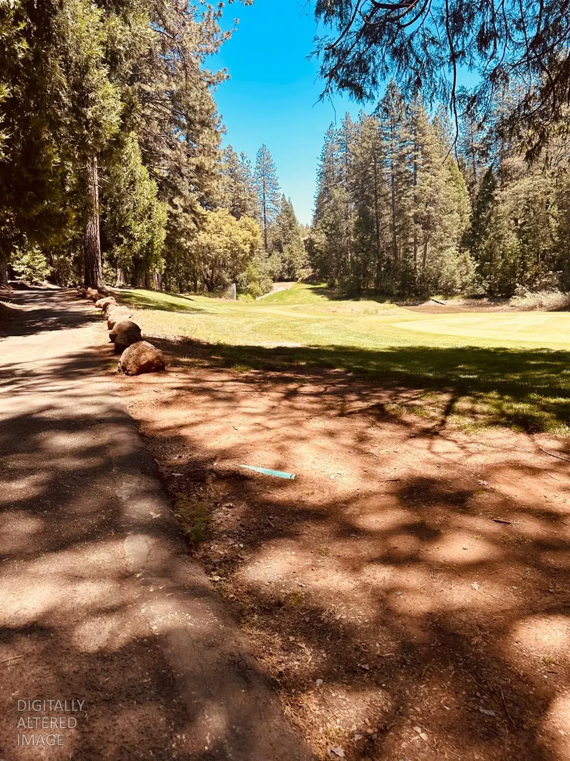 633 Forest Meadows Drive, Murphys, CA 95247 - #1