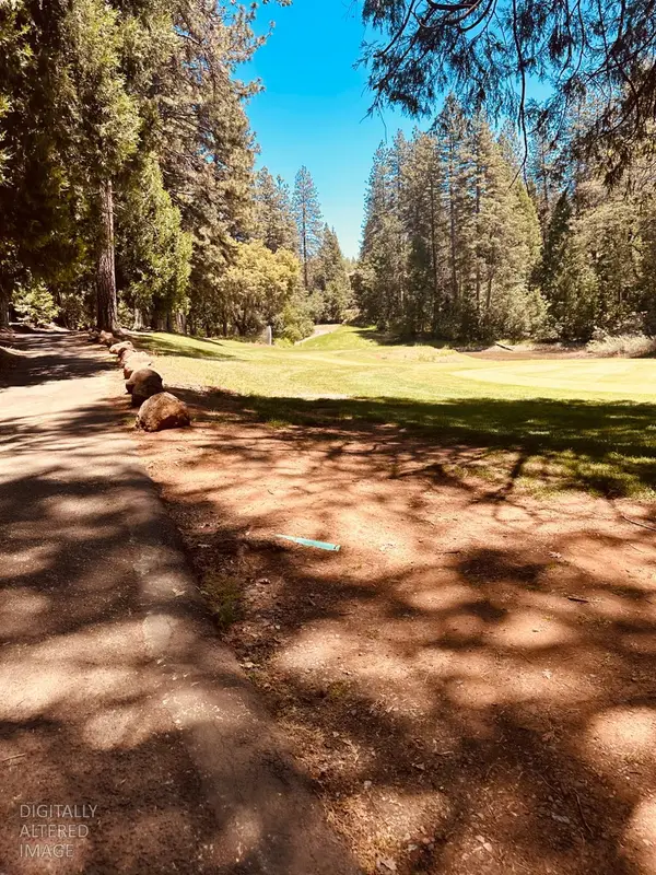 633 Forest Meadows Drive, Murphys, CA 95247