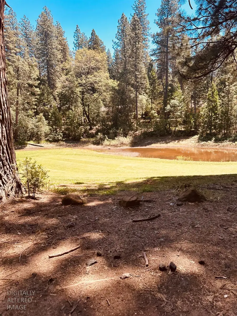 633 Forest Meadows Drive, Murphys, CA 95247 - #2