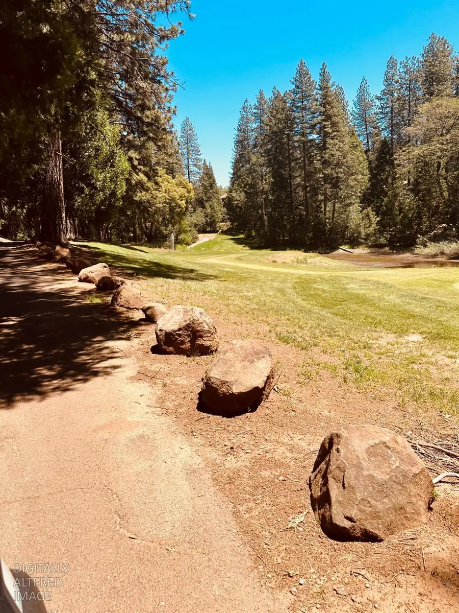 633 Forest Meadows Drive, Murphys, CA 95247 - #3