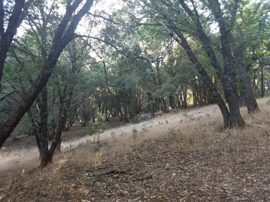 16424 Annie Drive, Grass Valley, CA 95949 - #2